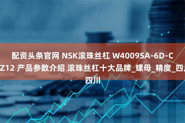 配资头条官网 NSK滚珠丝杠 W4009SA-6D-C5Z12 产品参数介绍 滚珠丝杠十大品牌_螺母_精度_四川