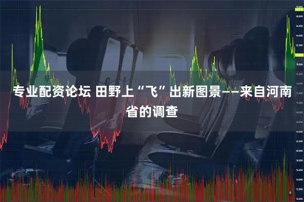 专业配资论坛 田野上“飞”出新图景——来自河南省的调查
